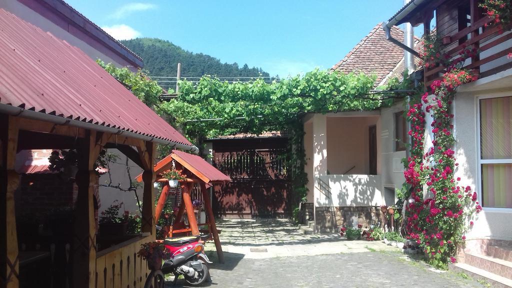 Pensiunea Razvan Gura Raului Exterior photo
